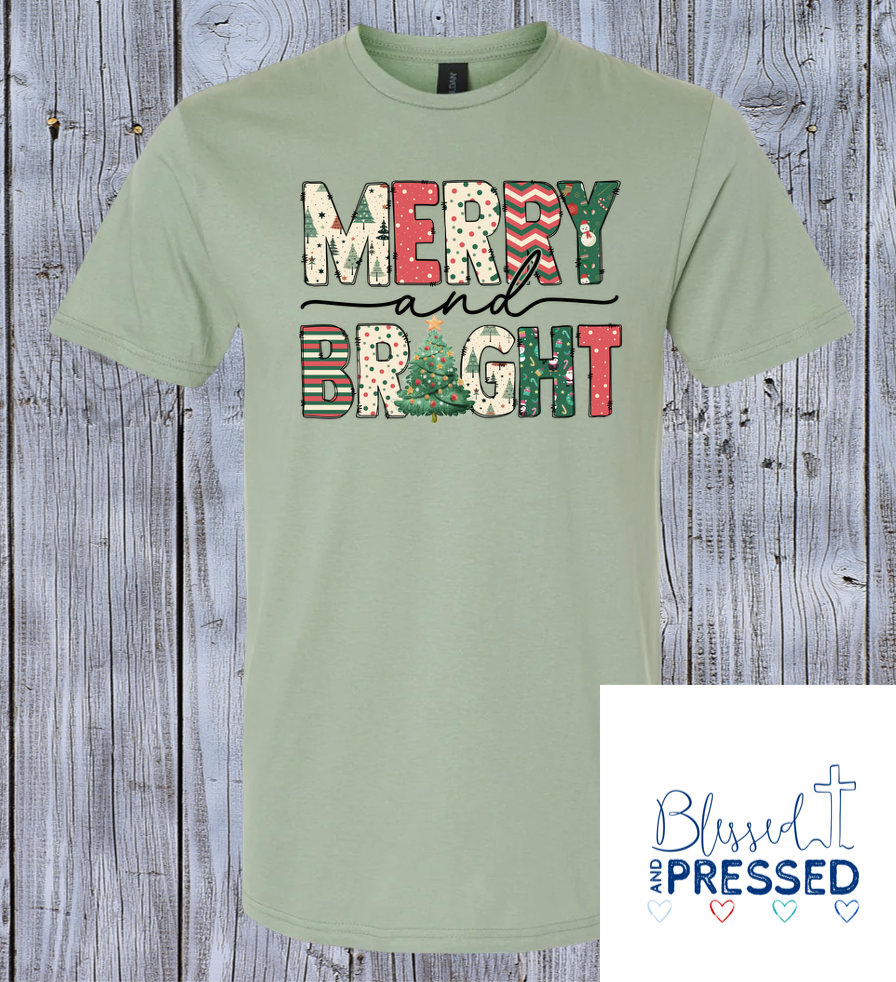 SCS Adult T-Shirt Pre-Order