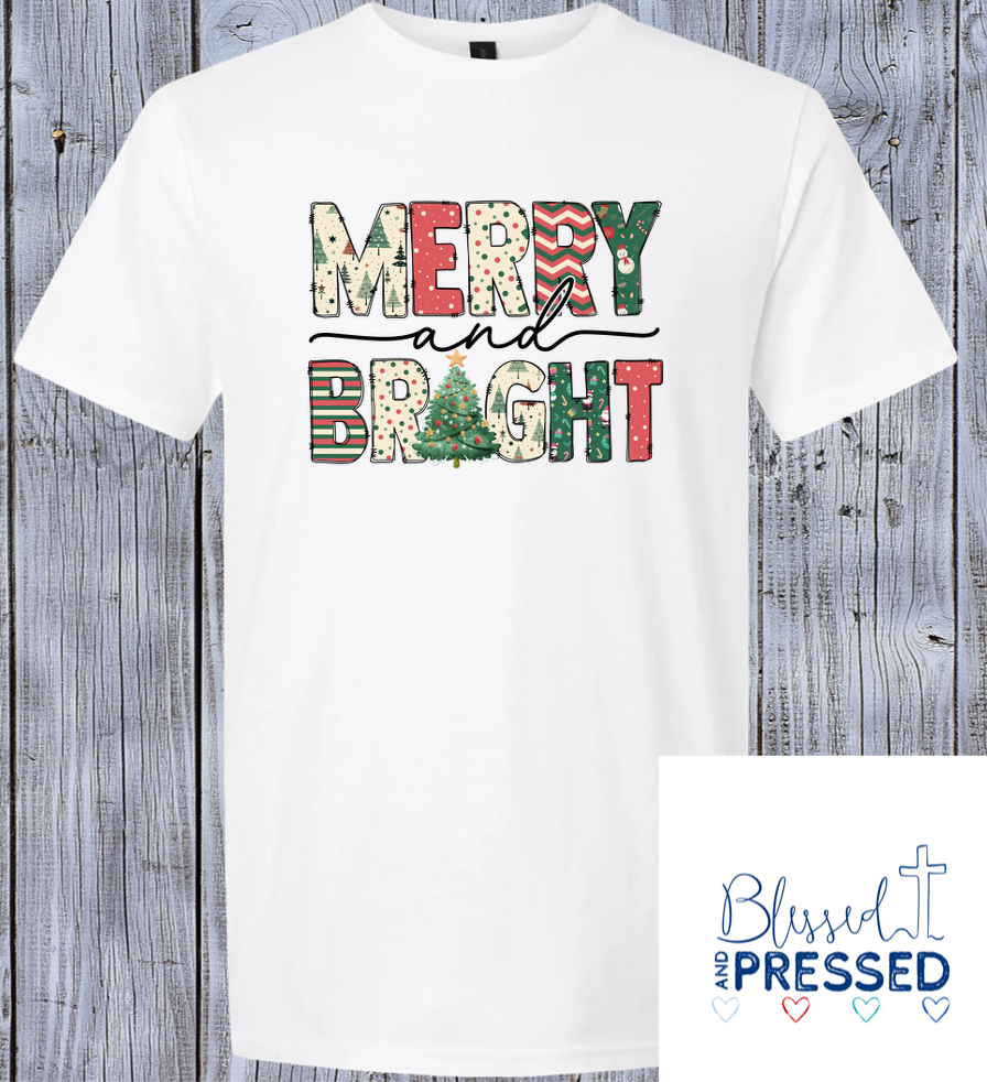 SCS Adult T-Shirt Pre-Order