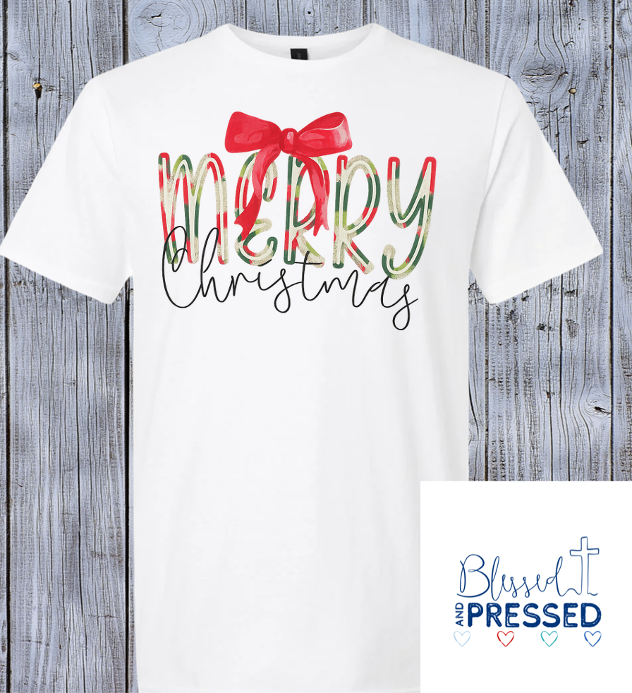 SCS Adult T-Shirt Pre-Order